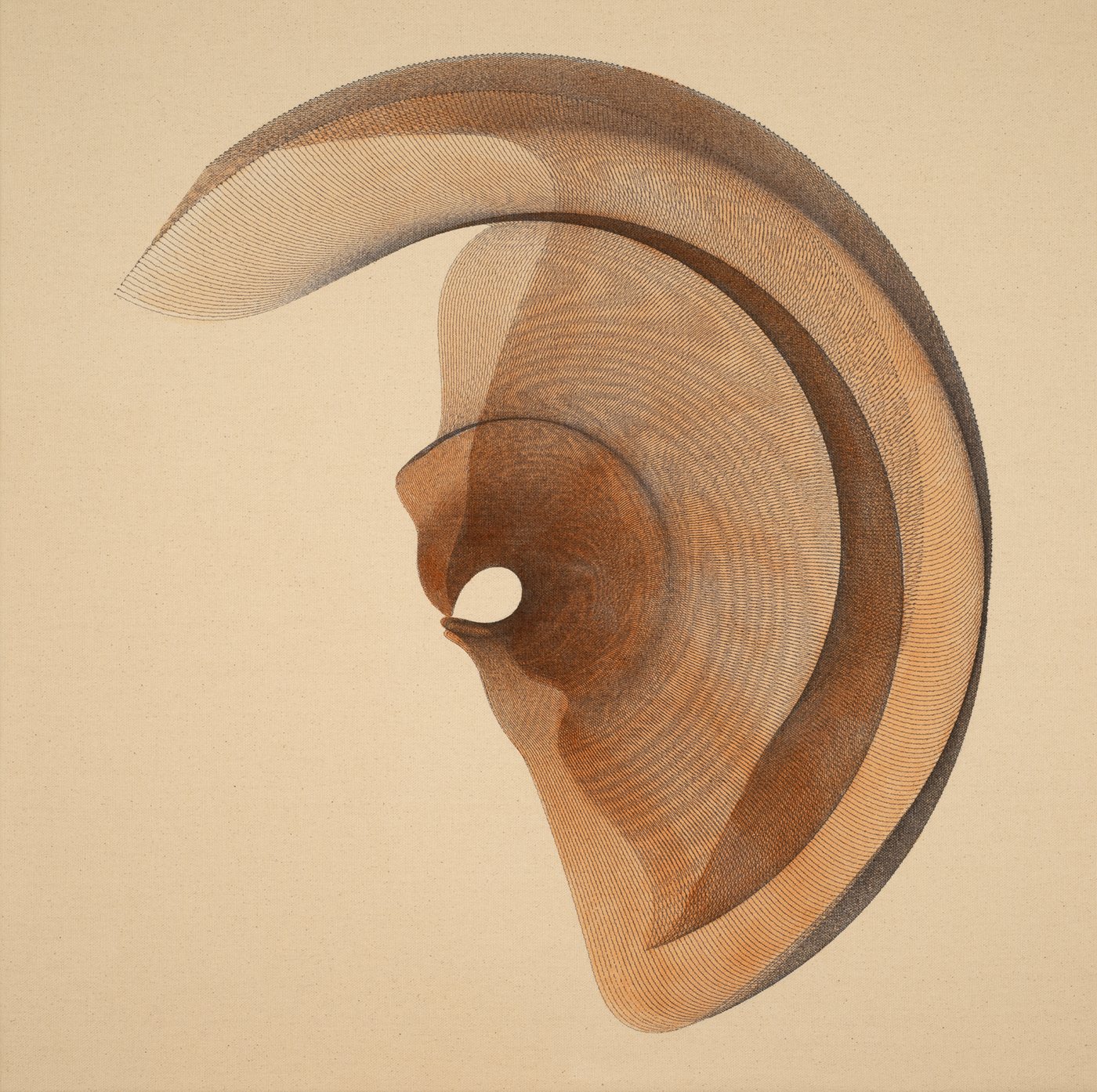 Pregnant with the Seed of Silence